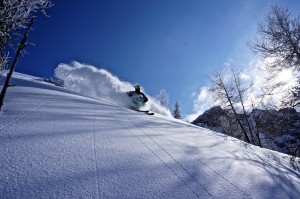 Drew Tabke, Austria