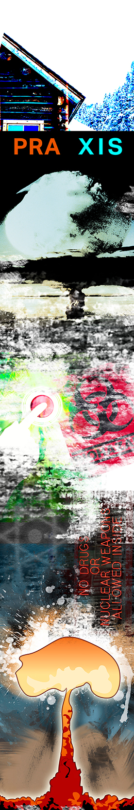 nukin ski graphic